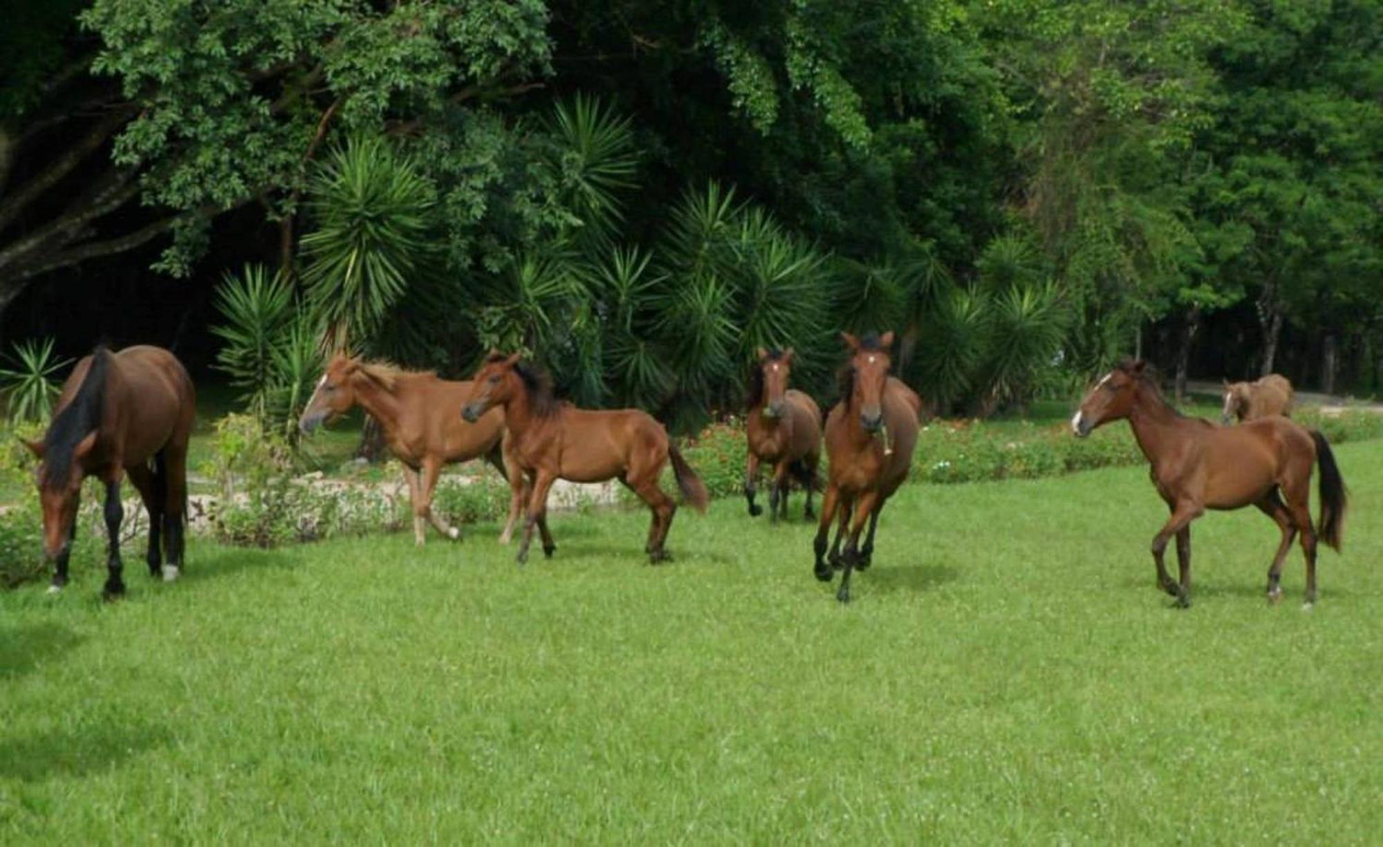 Finca Ixobel Exteriér fotografie